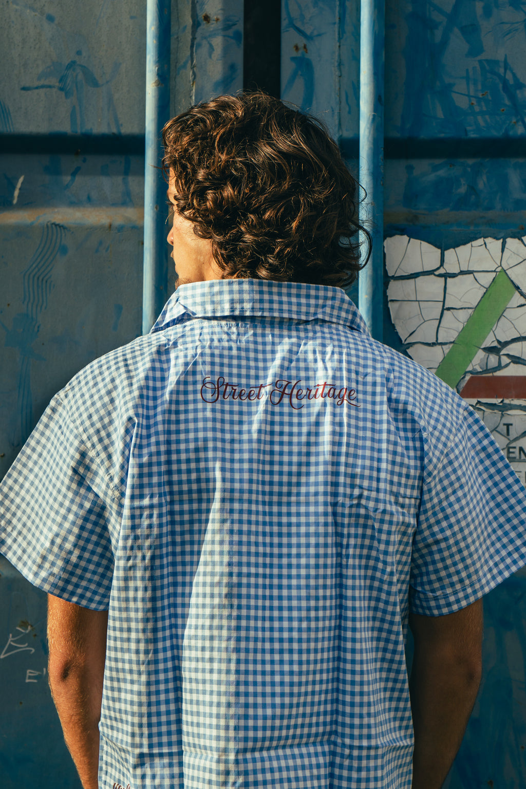 'TL Premium Blue Flanel'